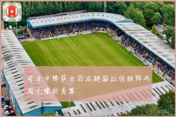 奇才中锋萨尔因右腿筋拉伤缺阵两周无缘新秀赛
