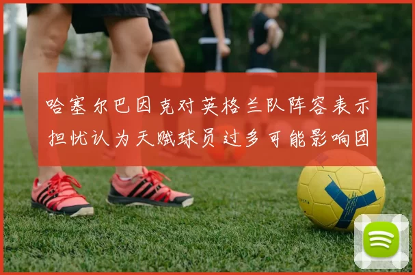 哈塞尔巴因克对英格兰队阵容表示担忧认为天赋球员过多可能影响团队合作